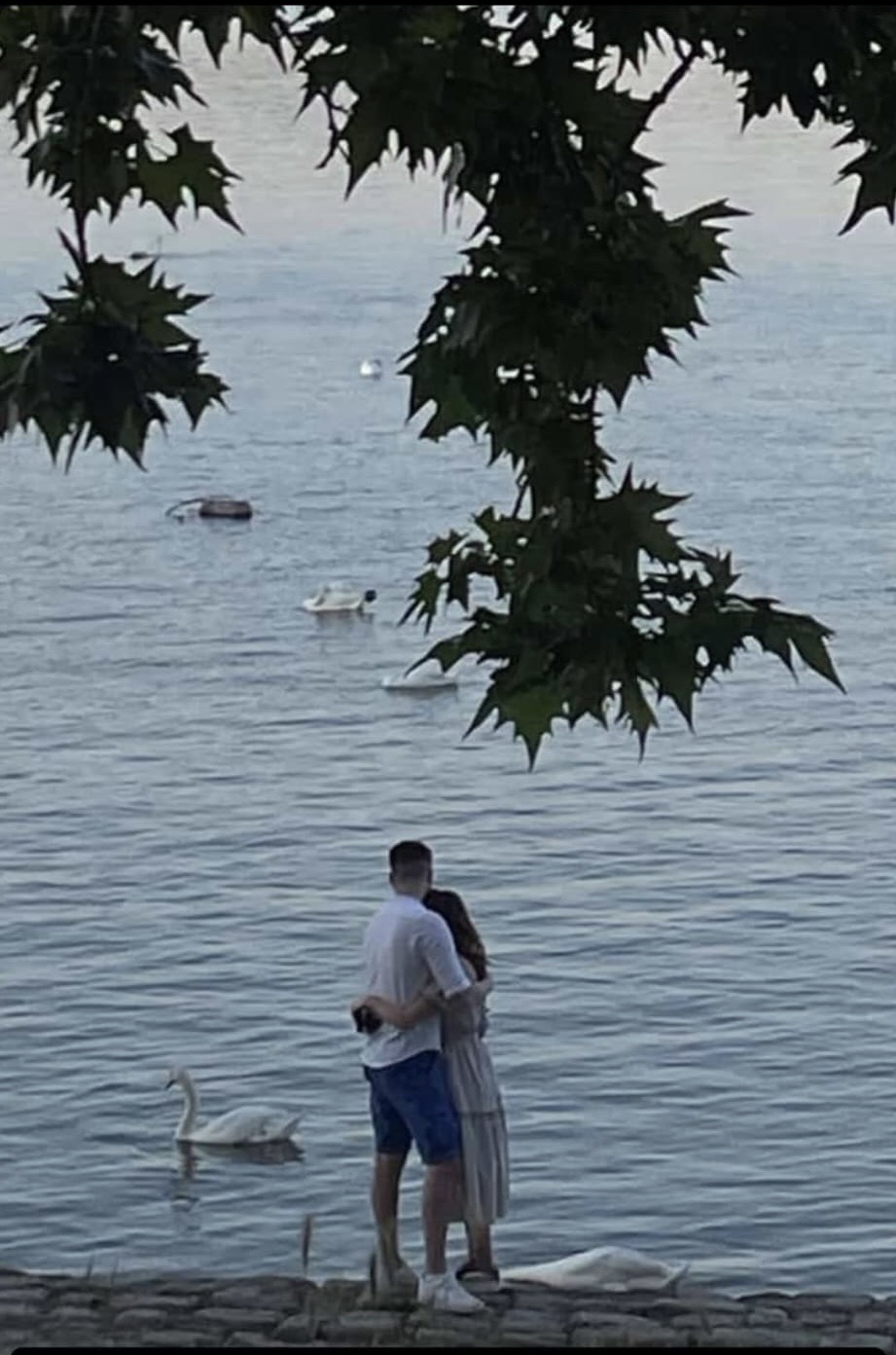 (FOTO) Tamo gde reka ljubi obalu: Ljubavna priča iz srca Zemuna